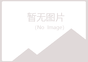 龙山县冰烟造纸有限公司